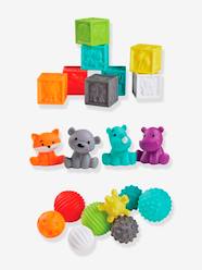 Bluebox Set of 8 Balls, 4 Animals and 8 Sensorial  Cubes