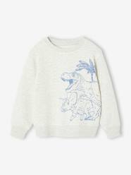 Boys-Cardigans, Jumpers & Sweatshirts-Sweatshirts & Hoodies-Fancy Sweatshirt for Boys