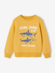 Boys-Cardigans, Jumpers & Sweatshirts-Sweatshirts & Hoodies-Fancy Sweatshirt for Boys