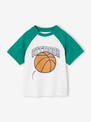 Boys-Tops-Raglan sleeve t-shirt for boys
