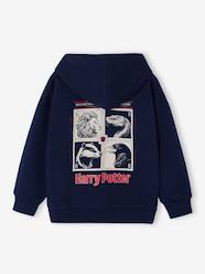 Boys-Cardigans, Jumpers & Sweatshirts-Sweatshirts & Hoodies-Boys' Harry Potter hooded sweatshirt