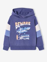 -Hooded printed sweatshirt