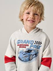 -Hooded printed sweatshirt
