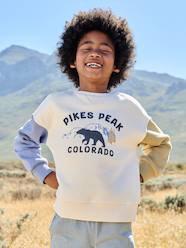 Boys-Cardigans, Jumpers & Sweatshirts-Sweatshirts & Hoodies-Round-neck sweatshirt with long sleeves for boys