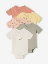 Pack of 5 floral short-sleeved bodysuits