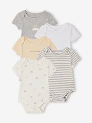 Pack of 5 short-sleeved bodysuit rabbit cloud