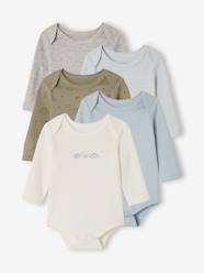 Pack of 5 long-sleeved Dinosaur bodysuits