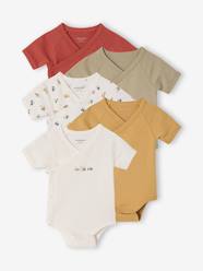 Pack of 5 newborn bodysuit tractor organic cotton