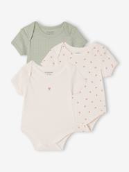 Pack of 3 short-sleeved pointelle bodysuits