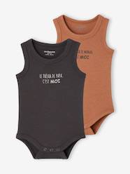 Pack of 2 organic cotton boy's bodysuits