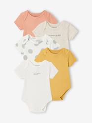 Pack of 5 short-sleeved baby bodysuits