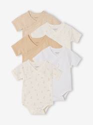 Pack of 5 short-sleeved rabbit bodysuit for babies