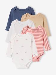 Pack of 5 long-sleeved whale bodysuits