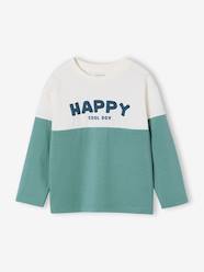 Boys-Tops-Sweatshirt with long colour block sleeves
