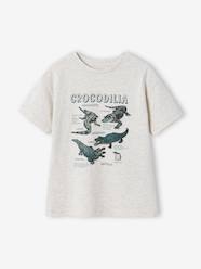 Boys-Tops-Boy's short-sleeved t-shirt
