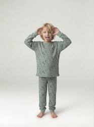 Boys-Boy's jungle pyjamas