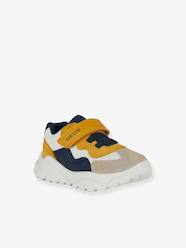 -Ciufciuf trainers
