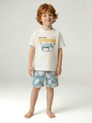 Cotton t-shirt and short set for boys