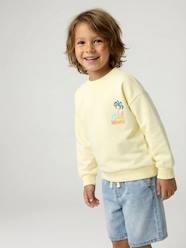 Boys-Cardigans, Jumpers & Sweatshirts-Sweatshirts & Hoodies-Round-neck long-sleeved sweatshirt for boys
