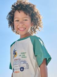Boys-Tops-Boy's short-sleeved t-shirt
