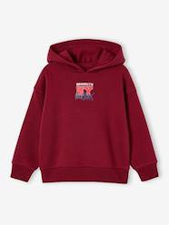 Boys-Cardigans, Jumpers & Sweatshirts-Sweatshirts & Hoodies-Hooded sweatshirt for boys