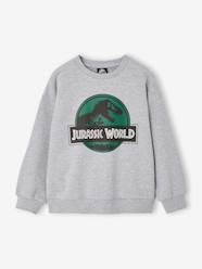 Boys-Cardigans, Jumpers & Sweatshirts-Sweatshirts & Hoodies-Sweatshirt Jurassic World for boys