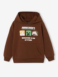 Boys-Cardigans, Jumpers & Sweatshirts-Sweatshirts & Hoodies-Hoodie for boys by Minecraft