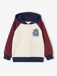 -Hooded sweatshirt for boys