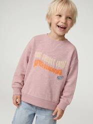 Boys-Cardigans, Jumpers & Sweatshirts-Sweatshirts & Hoodies-Crewneck sweatshirt for boys
