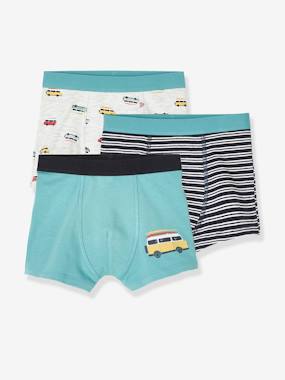 Pack of 3 Stretch Boxer Shorts Van