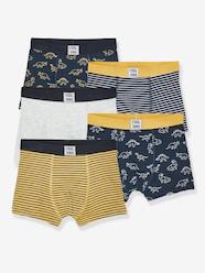 Boys-Underwear-Pack of 5 Stretch Boxer Shorts, Dino, for Boys