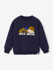 Boys-Cardigans, Jumpers & Sweatshirts-Sweatshirts & Hoodies-Crew neck sweatshirt for boys