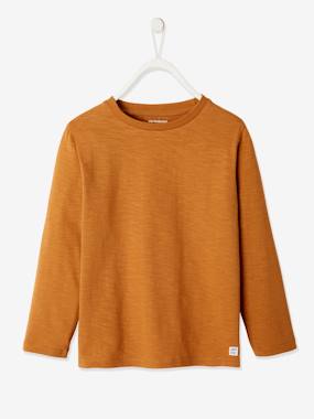 Long-Sleeved Colour Top