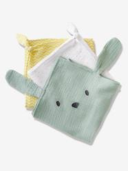 Baby on the Move-Pack of 3 Muslin Squares, LAPIN VERT