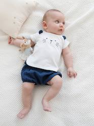 Baby-Outfits-T-Shirt & Shorts Outfit, Occasion Wear, for Newborn Babies