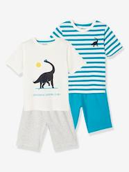 Boys-Nightwear-Set of 2 Short Pyjamas for Boys, Dinosaur