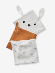 Baby on the Move-Pack of 3 Muslin Squares in Organic Cotton*, Jouy Story