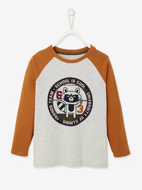 Top with Graphic Motif Colour Raglan Sleeves