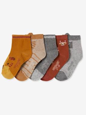 Pack of 5 Pairs of Animals Socks Oeko-Tex multi