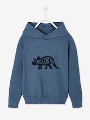 Boys-Cardigans, Jumpers & Sweatshirts-Jumpers-Hooded Jumper with Velvety Dinosaur in Relief