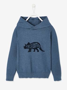 Hooded Jumper with Velvety Dinosaur in Relief