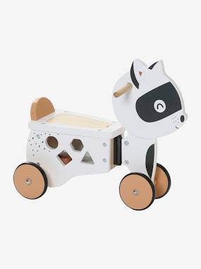 Tricycle with Storage in FSC Wood Masked Raccoon multi