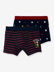 Character shop-Pack of 2 Harry Potter® Boxers for Boys
