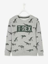 Boys-Cardigans, Jumpers & Sweatshirts-Sweatshirt with Dinosaur, for Boys