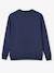 'notre Chouette Famille' Sweatshirt for Women, Capsule Collection by Vertbaudet Dark Blue 