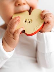 Nursery-Mealtime-Soothers & Teething Ring-Pepita the Apple Teether, by OLI & CAROL