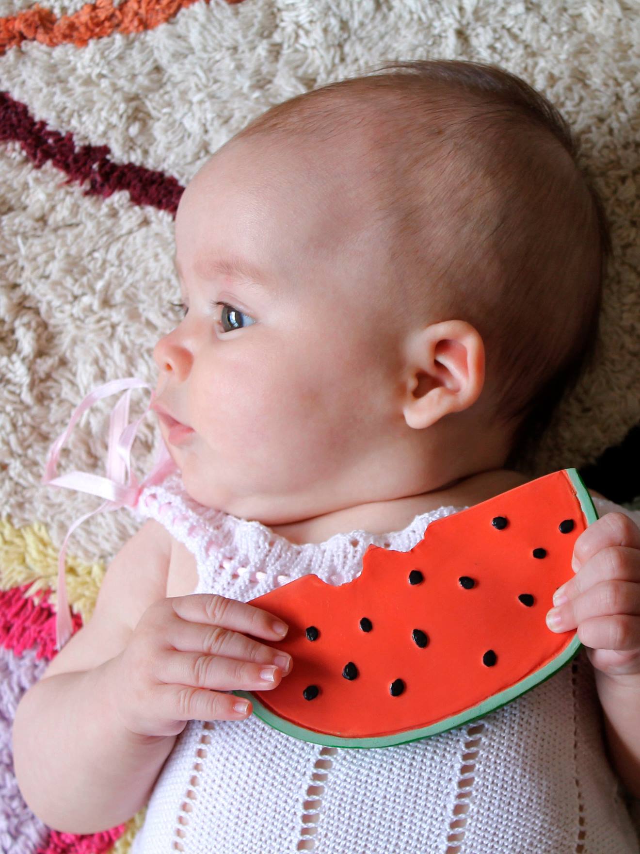 Wally the Watermelon Teether