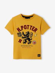 Boys-Tops-Harry Potter® T-Shirt for Boys