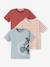 Pack of 3 Assorted T-Shirts for Boys BLUE LIGHT TWO COLOR/MULTICOL+BLUE MEDIUM SOLID WITH DESIGN+BROWN MEDIUM 2 COLOR/MULTICOL+GREY LIGHT MIXED COLOR+YELLOW LIGHT 2 COLOR/MULTICOL 