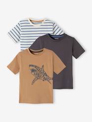Boys-Tops-Pack of 3 Assorted T-Shirts for Boys